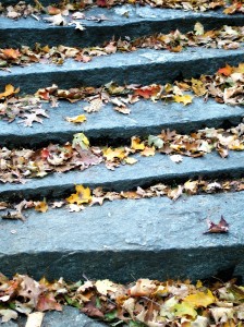 Estadísticas en el otoño