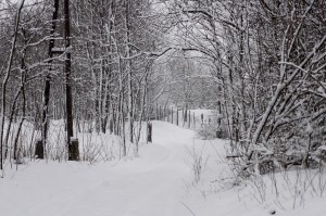 Invierno