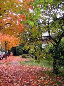 Sorteo en pleno Otoño